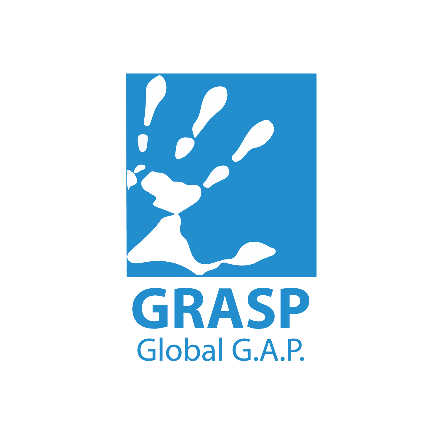Certificados tomasol_GRASP GLOBAL GAP